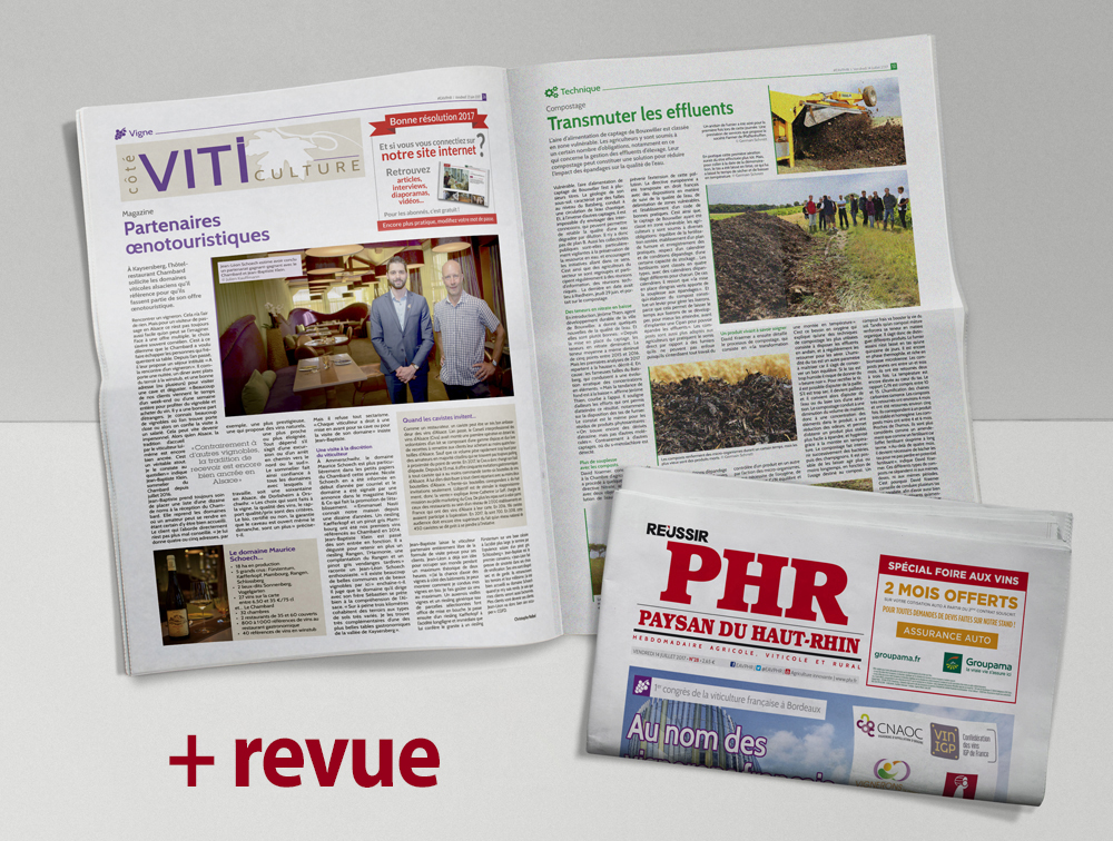 Abonnement papier + web + 1 revue Réussir