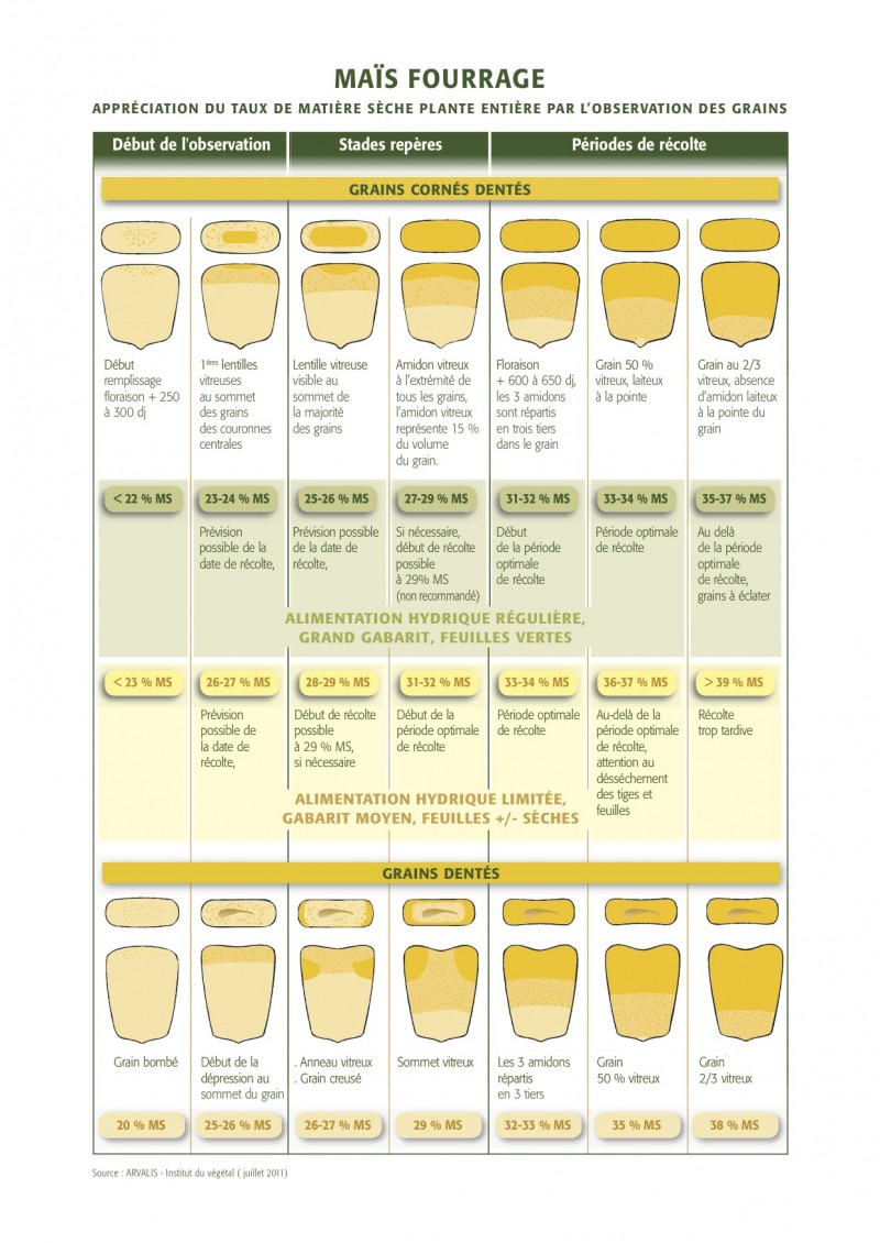 grille_mais_fourrage.jpg