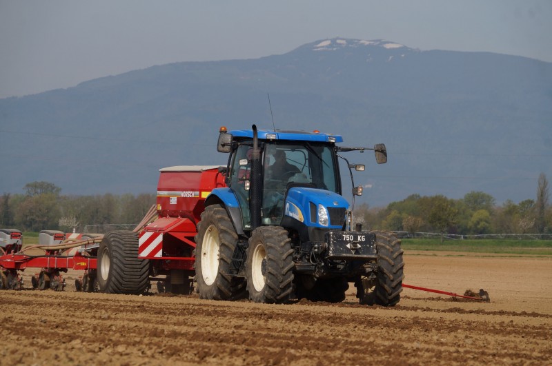 Semis Maïs vrac09.jpg