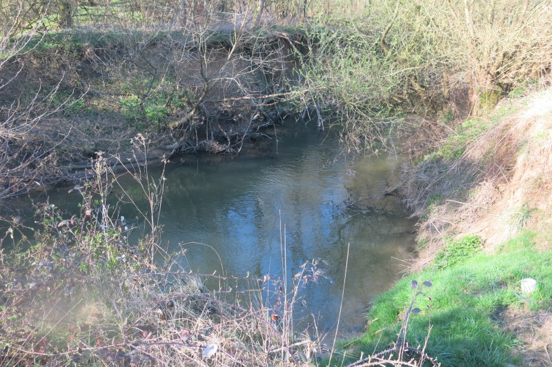 EARL Moulin Geritt-61.JPG