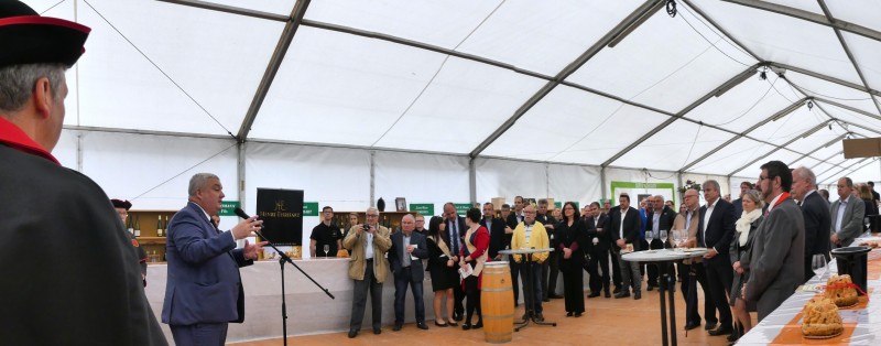 FAV Ammerschwihr, Discours