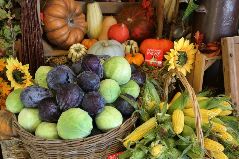 Concours d'étalages ifla - 203.jpg