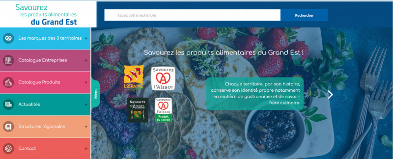 illustration site.jpg