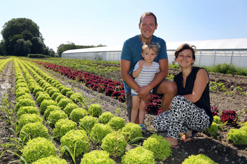 L'îlot de la Meinau - 04.jpg