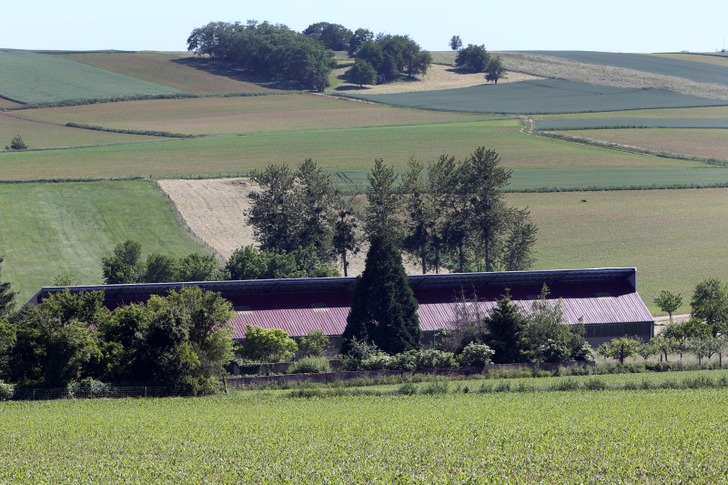 Paysages - Cultures - 04.jpg