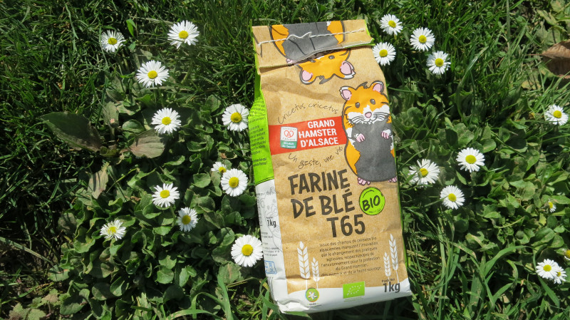 Farine  Bio Grand Hamster d'Alsace.JPG