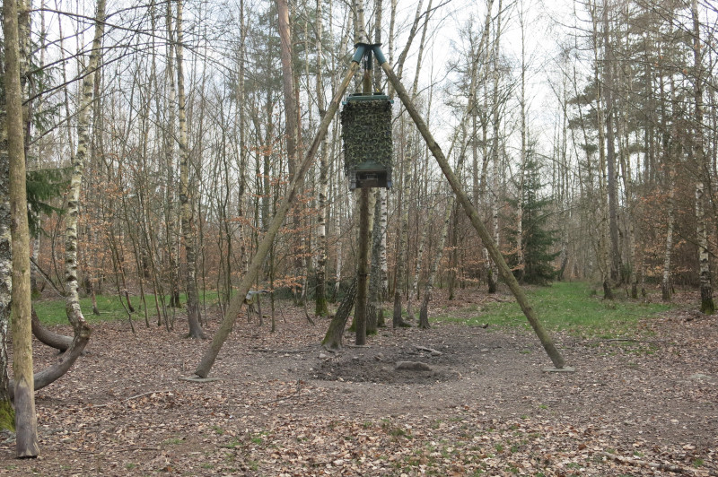 Plantation-placeaux- (6).JPG