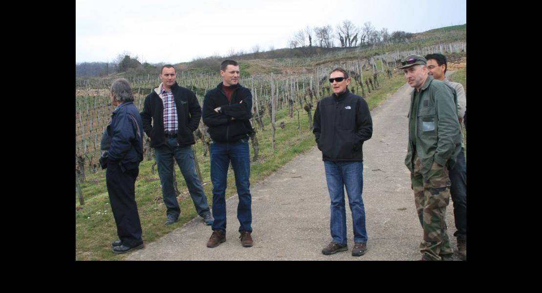 Vignerons du groupe repere