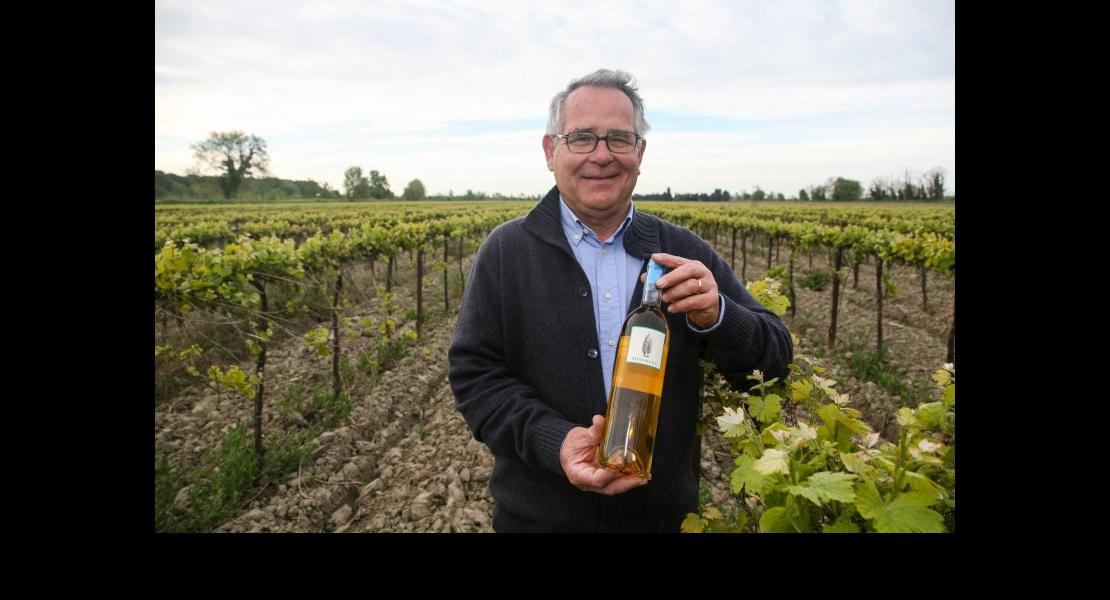 Gewurztraminer, Isle St Pierre, Gard