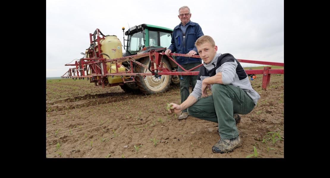 CC - Diemer Thibaut - 01.jpg