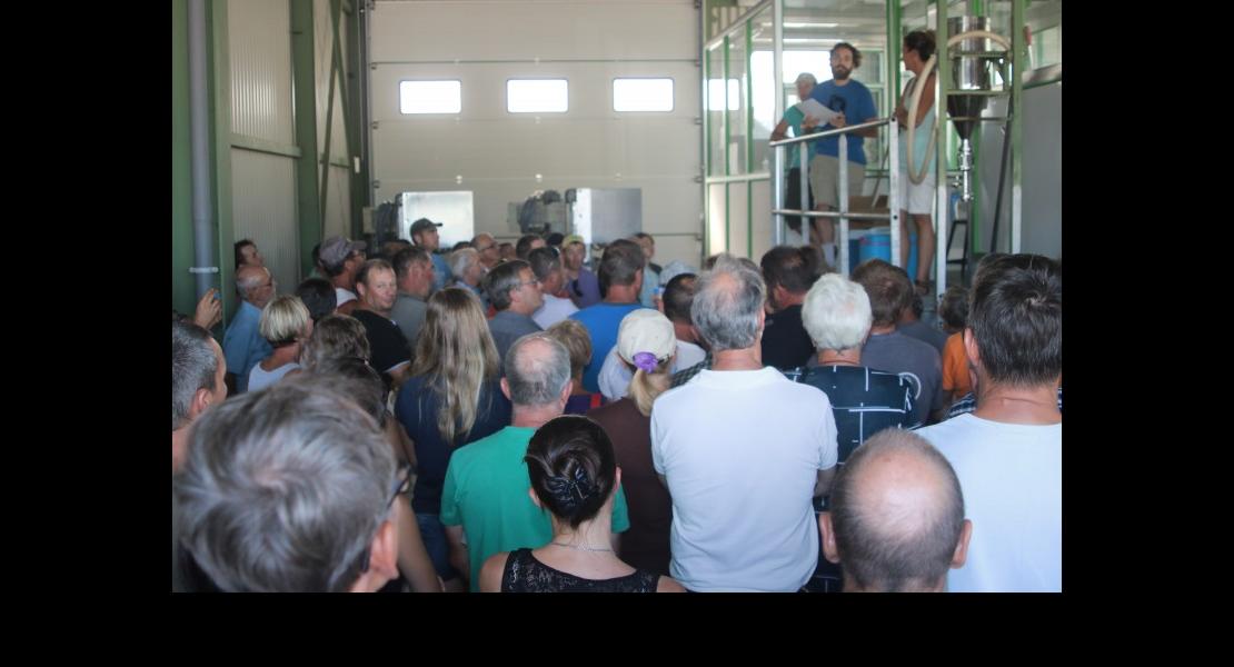 Réunion vendanges Dagobert