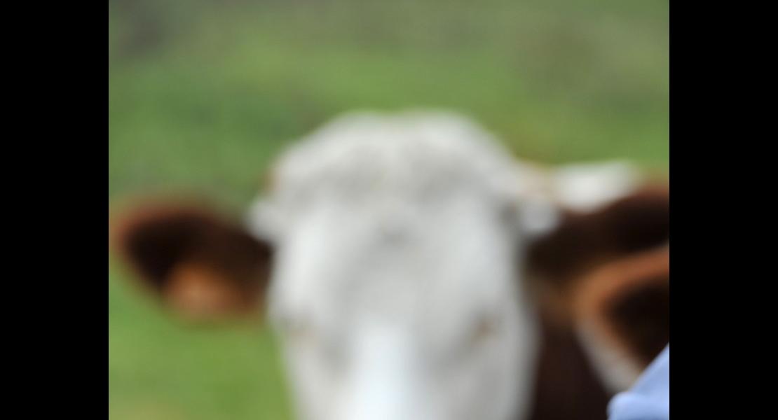 poignée de mains, crise agricole