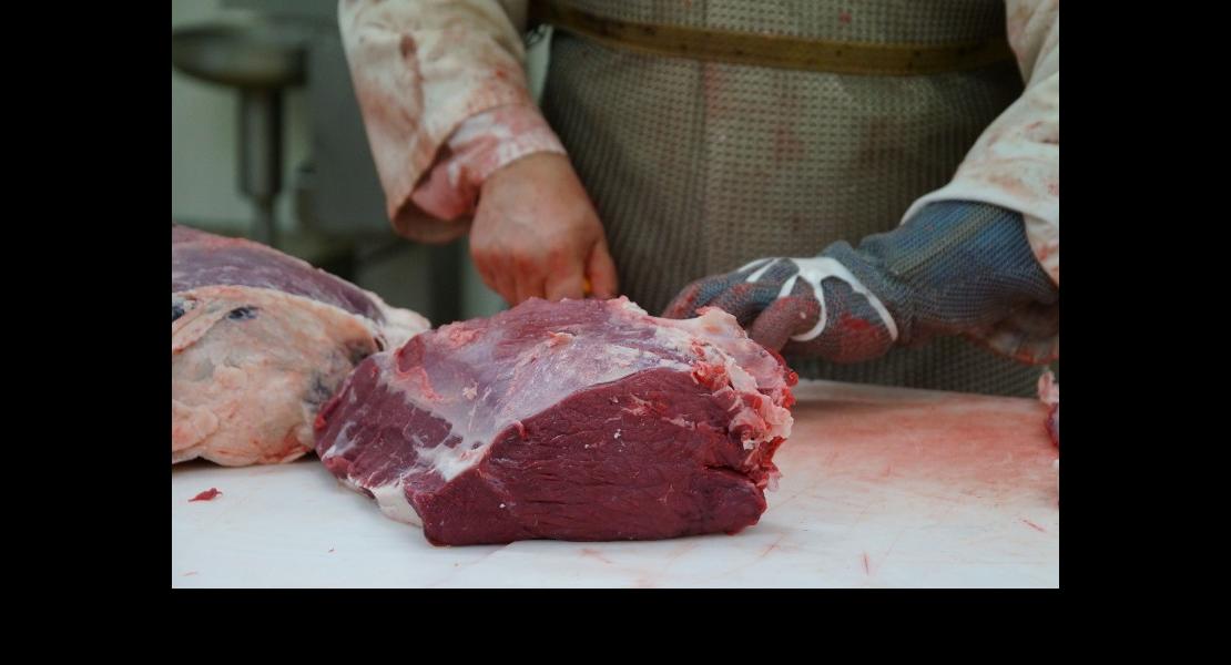 Terre d'Elsass -29.jpg