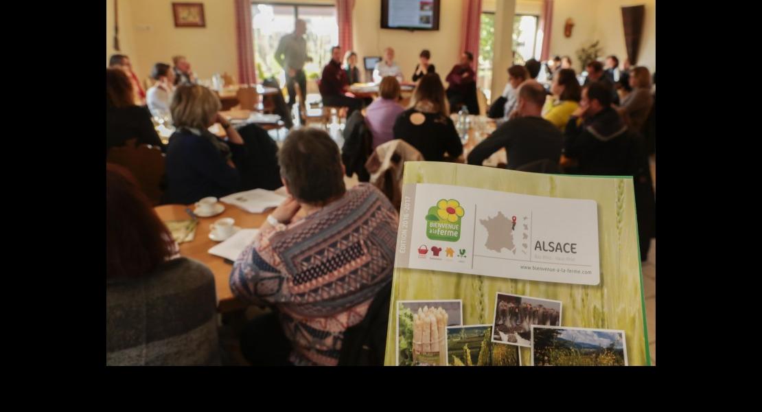 AG-Bienvenue-a-la-ferme_Alsace_2017.jpg