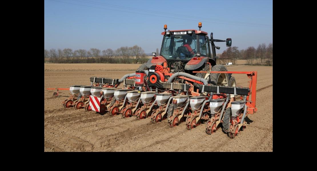 Semis de betteraves - 03.jpg