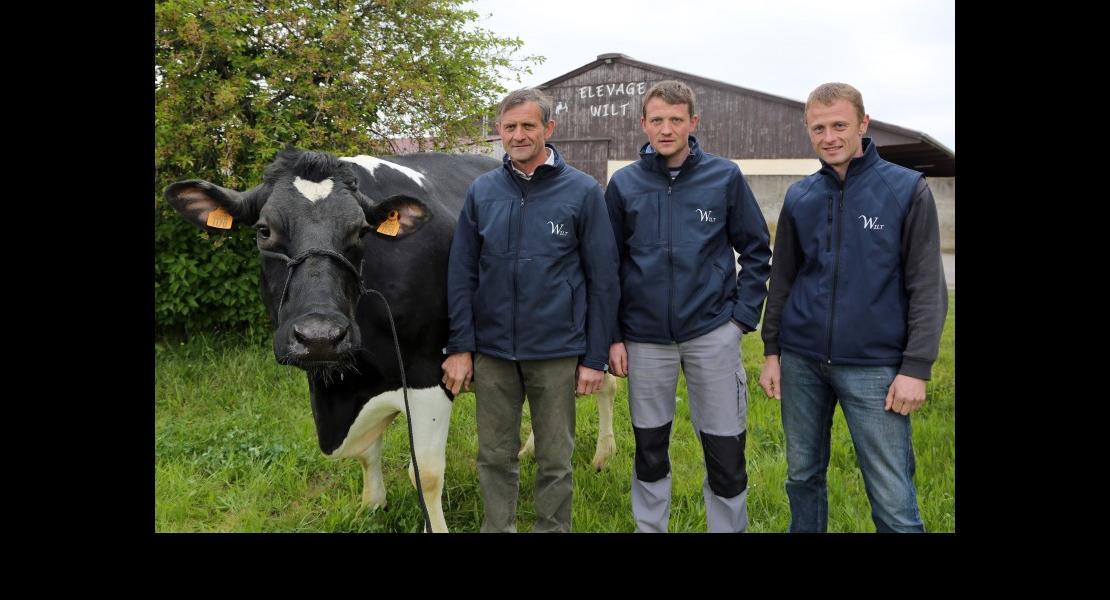 CE - Elevage Wilt - 02.jpg