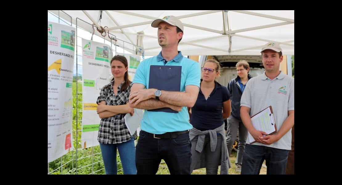 Désherbage mécanique - 01.jpg