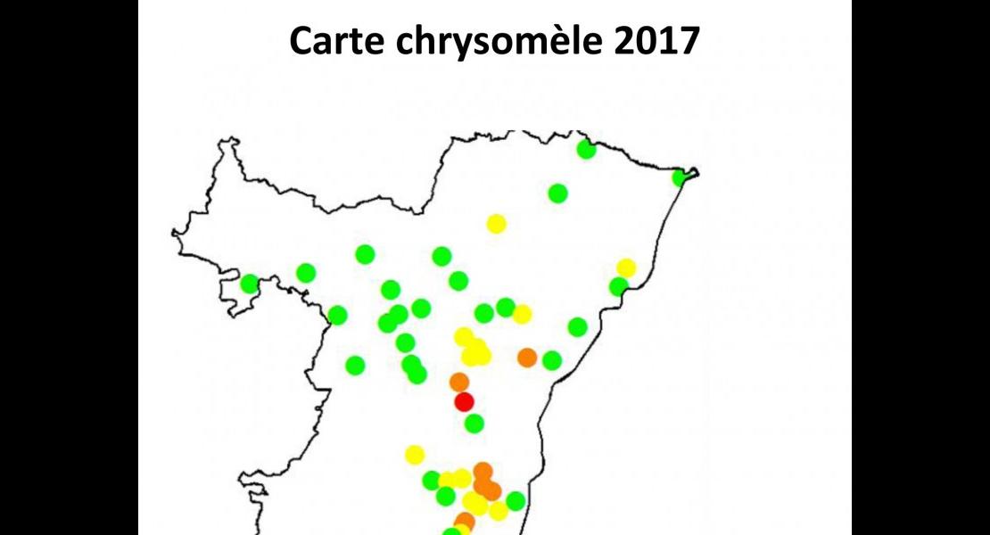 Carte chrysomèle 2017.jpg