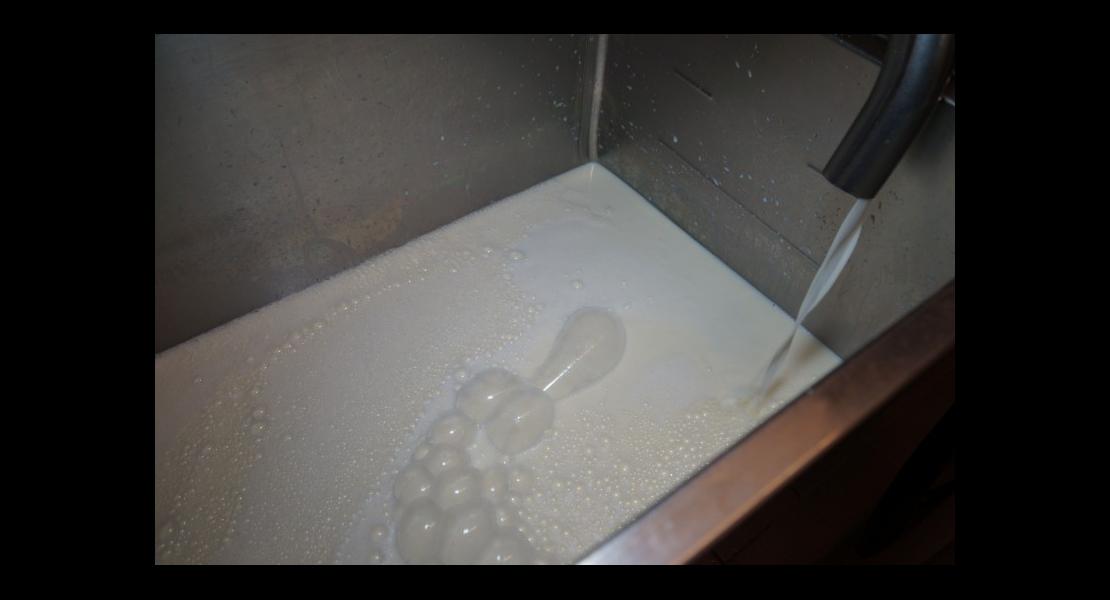 Fromage Vosgiennes 14.jpg