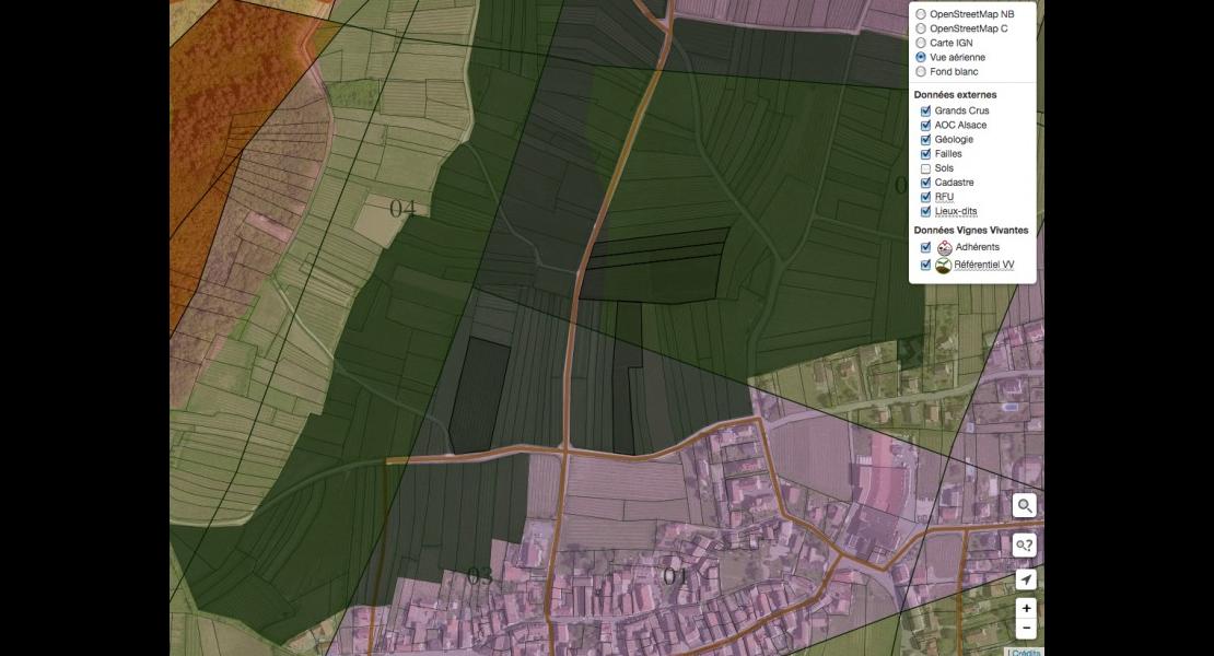 Vignes vivantes carto