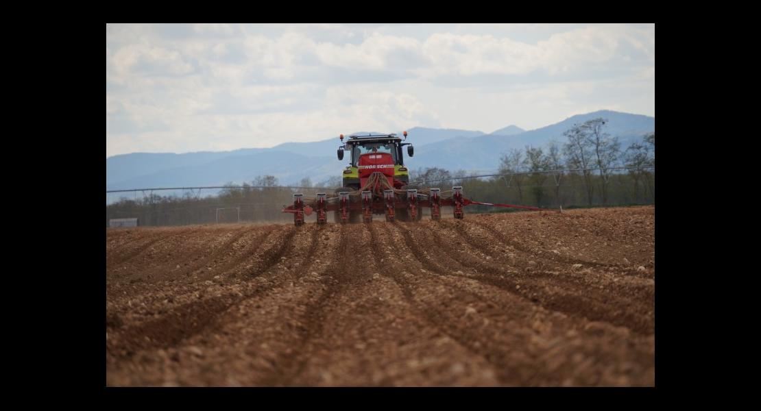 Modulation semis maïs CACDSC02410.JPG