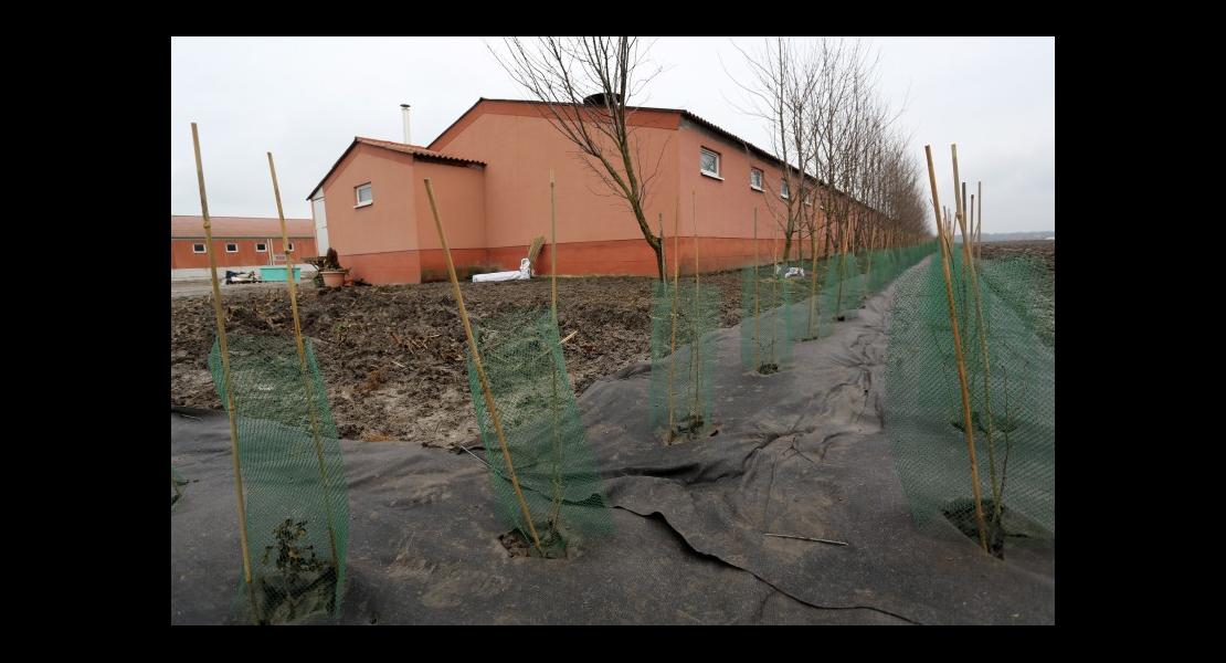 Haies Haug Sébastien - 06.jpg