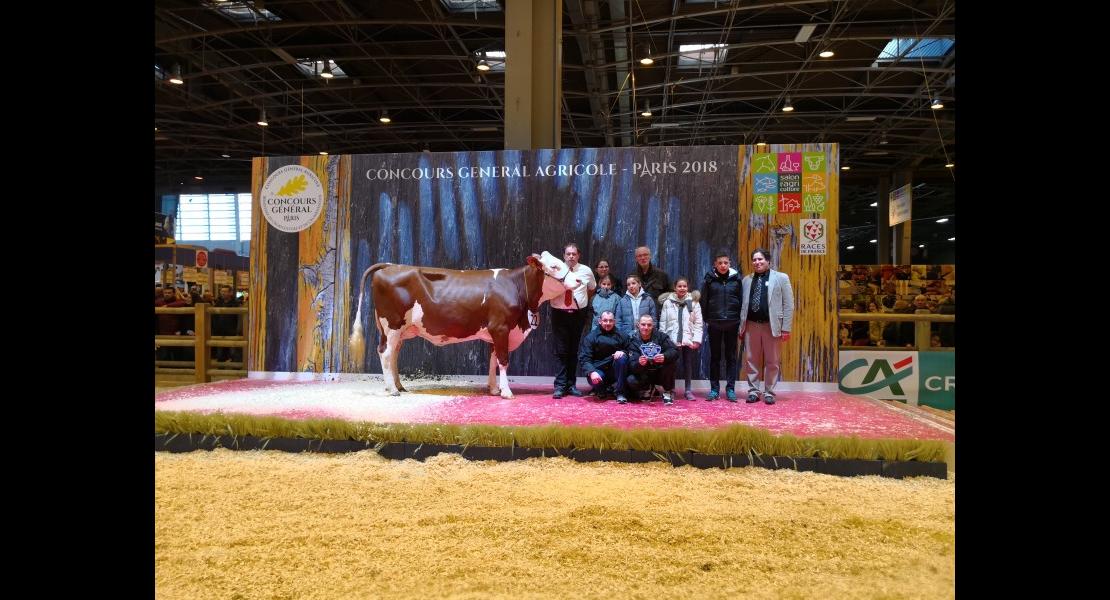 Concours Montbéliardes SIA 250218IMG_20180225_130