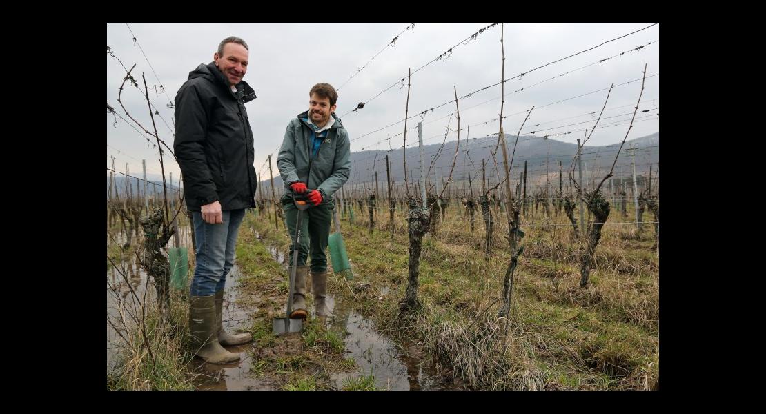 CV - Yves Dietrich - 01.jpg