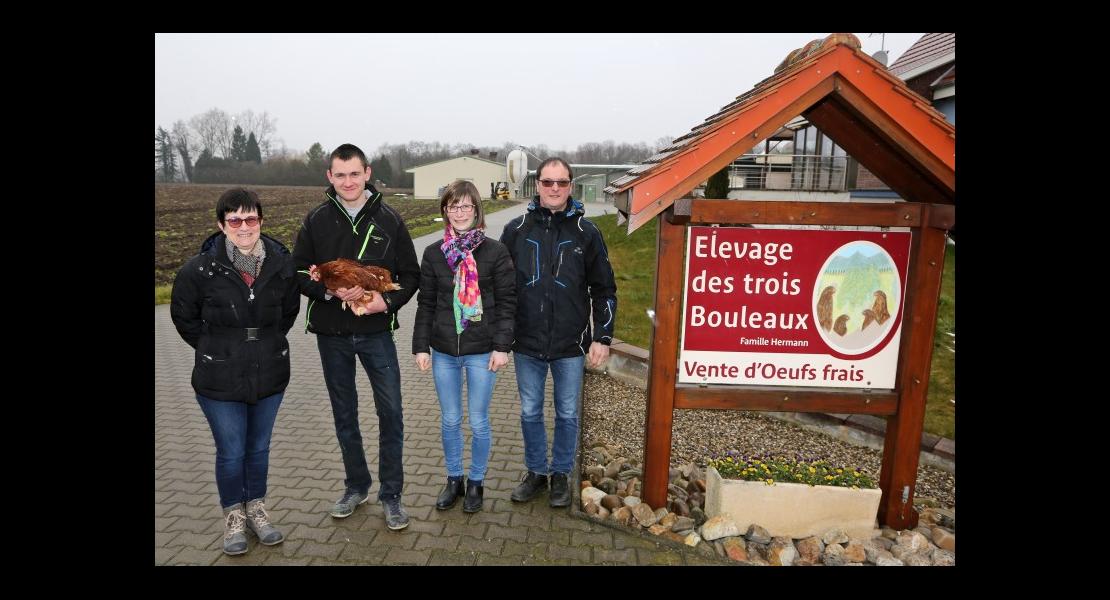 Trois Bouleaux - 01.jpg