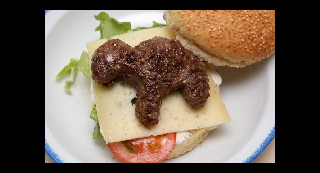 Burger ovin - 11.jpg