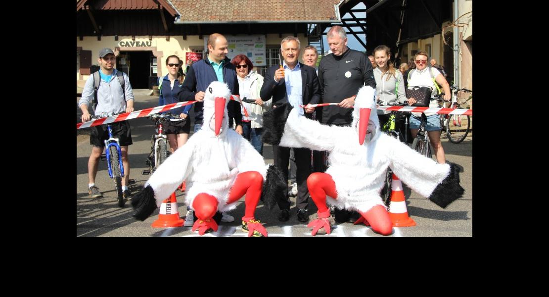 Domaine de la ville de Colmar