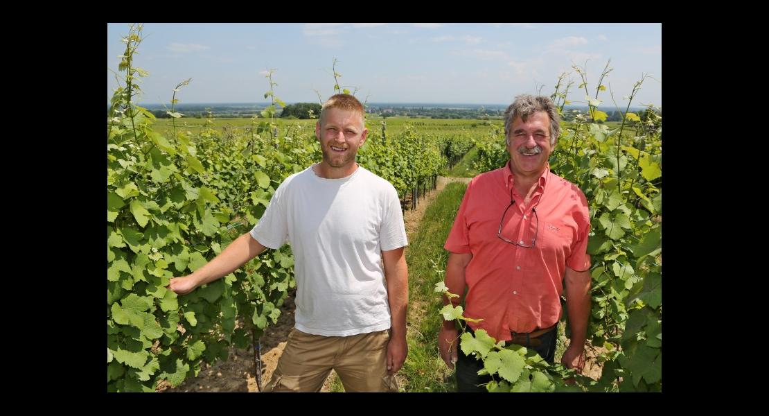 CV - Domaine Boch - 01.jpg