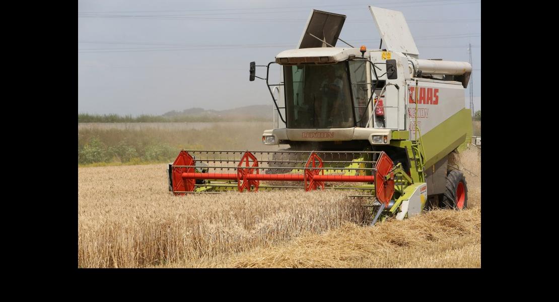 Moisson blé - 02.jpg