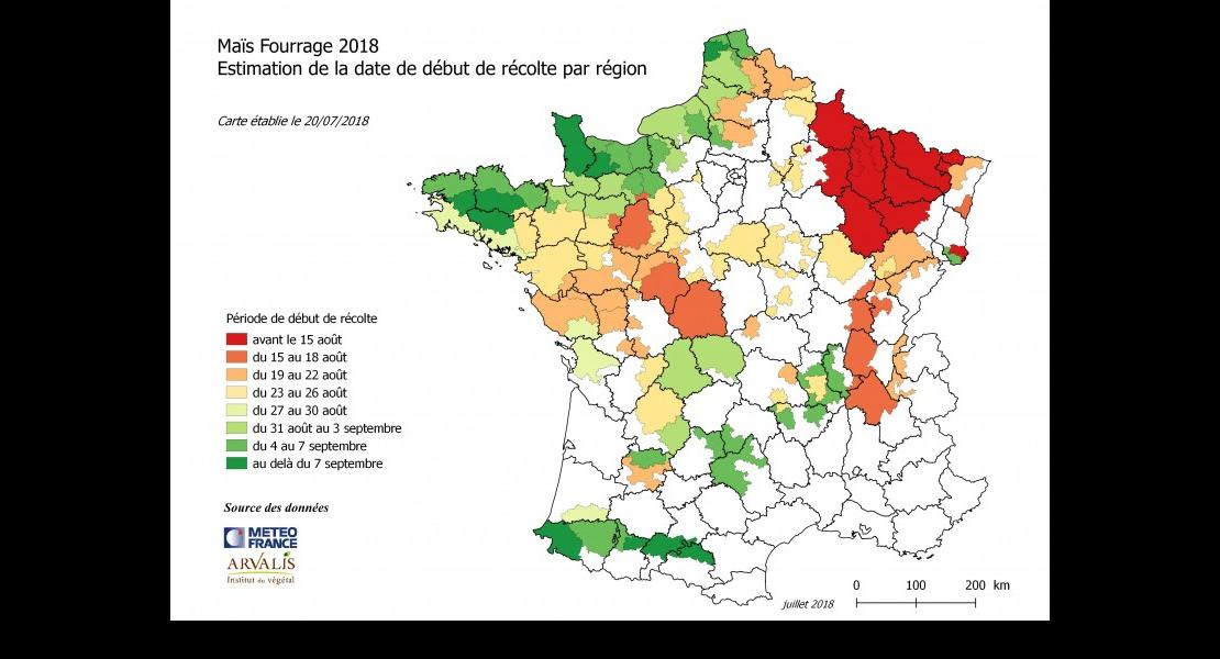 Maïs fourrage 2018-2.jpeg