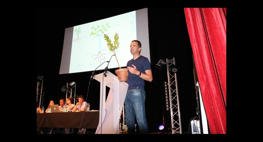 C Bertsch Sylvestris