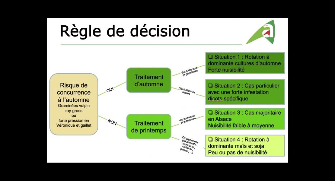 Blé-2018-Règle de décision.jpg
