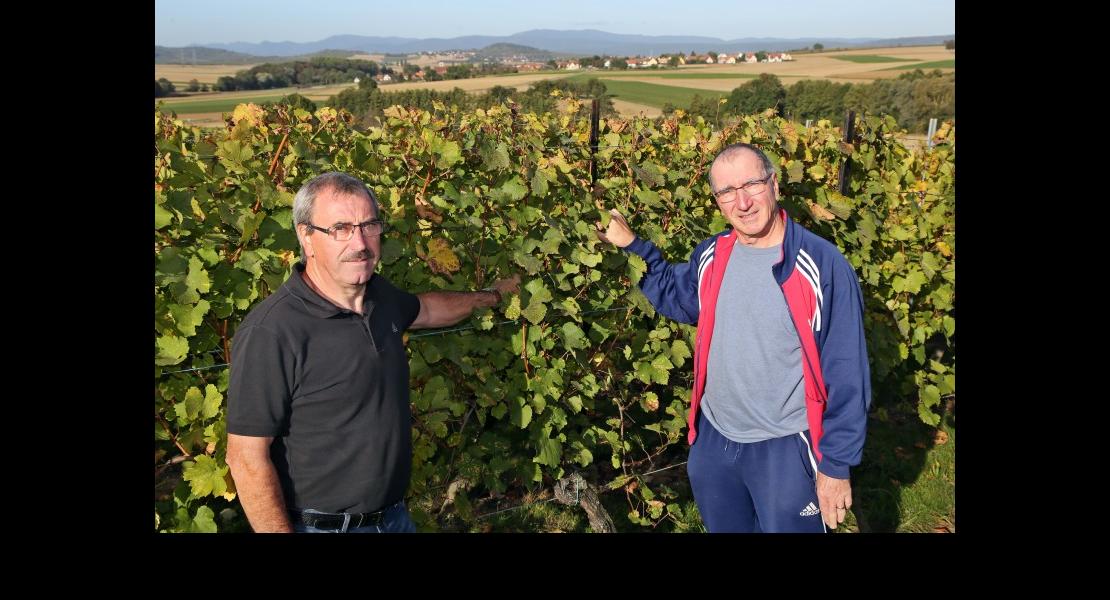 CV - Hoffmann - 04.jpg