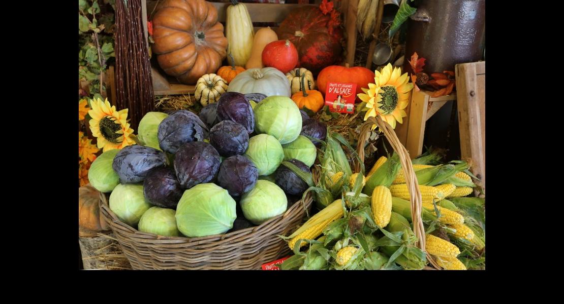 Concours d'étalages ifla - 203.jpg