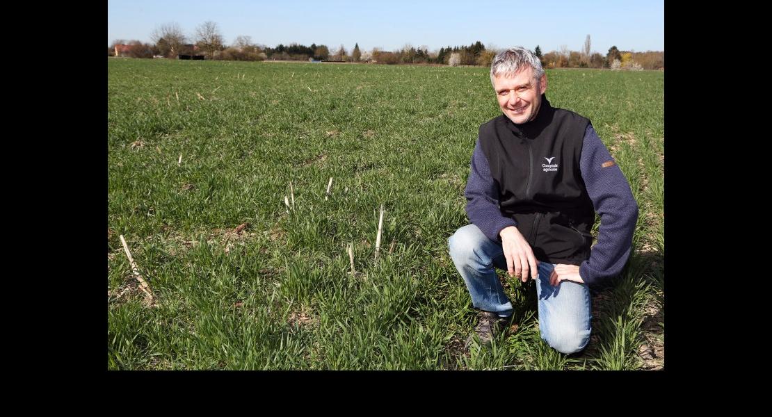 CC - Patrick Kormann - 01.jpg