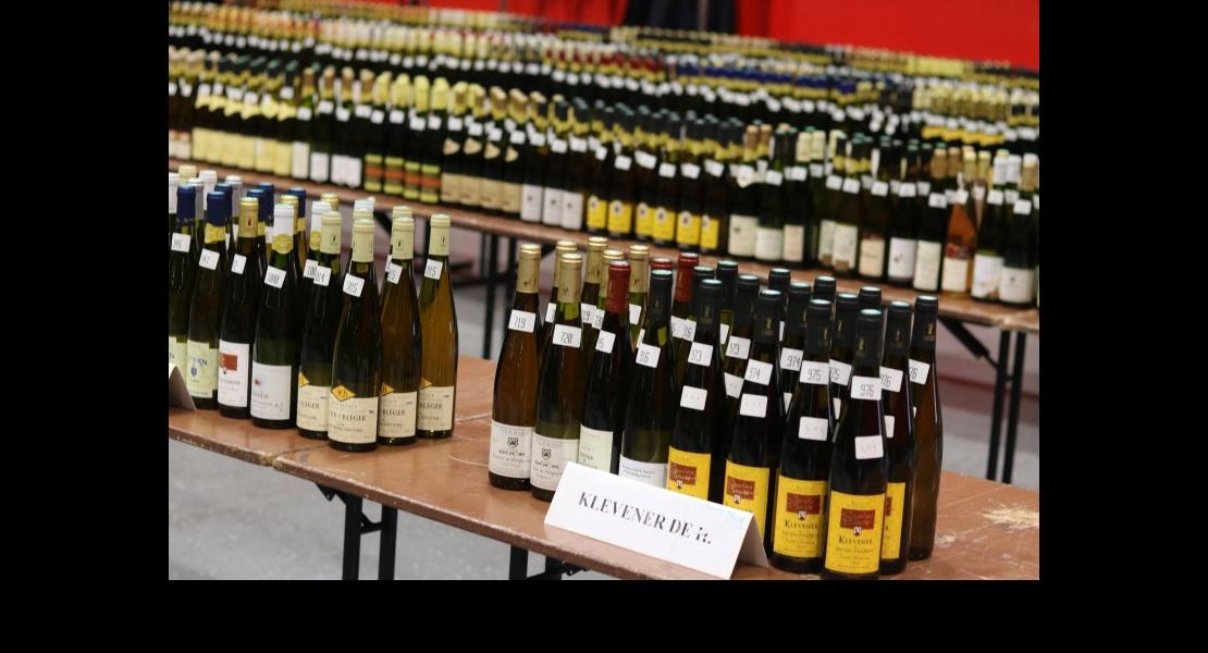 Civa Grand concours Colmar 2