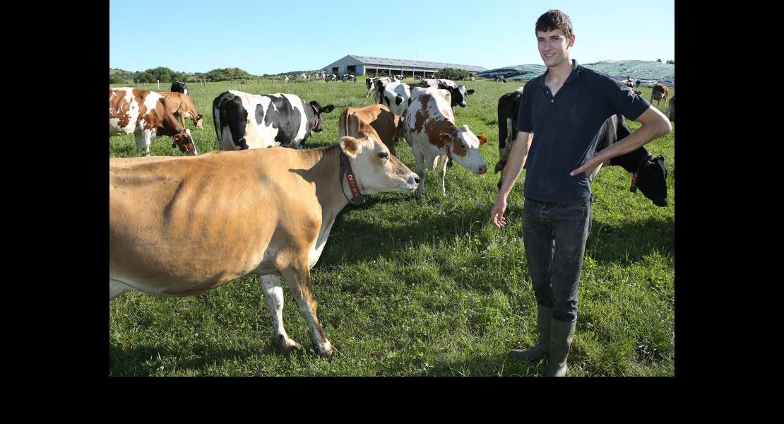 CE - Ferme Christ - 06.jpg