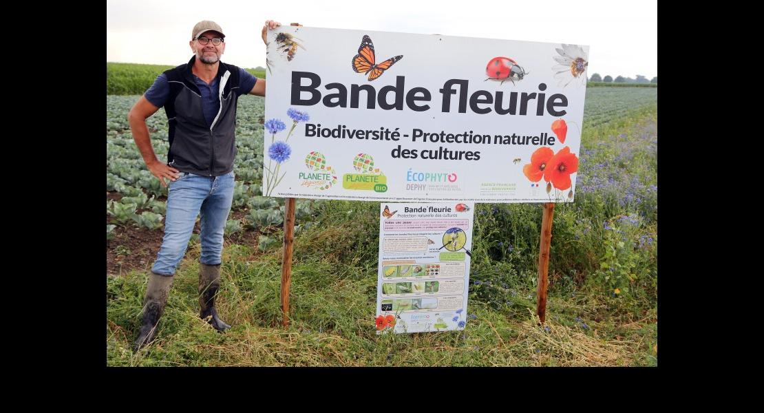 Dephy chou Heitz Laurent - 02.jpg