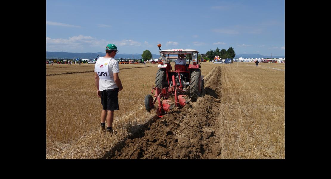 Finale labour 68 190818DSC02002.JPG