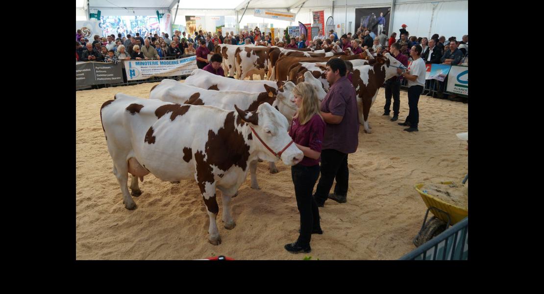 Simon et Jude-41.jpg