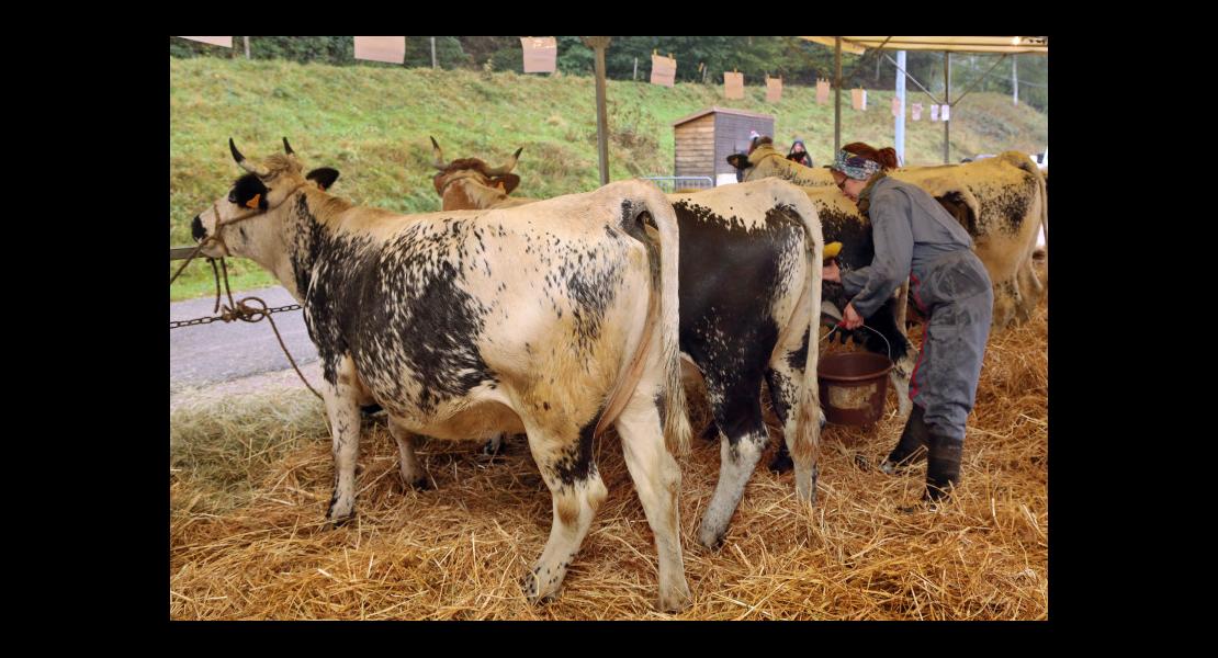 Fête de la montagne - Vosgienne - 04.jpg