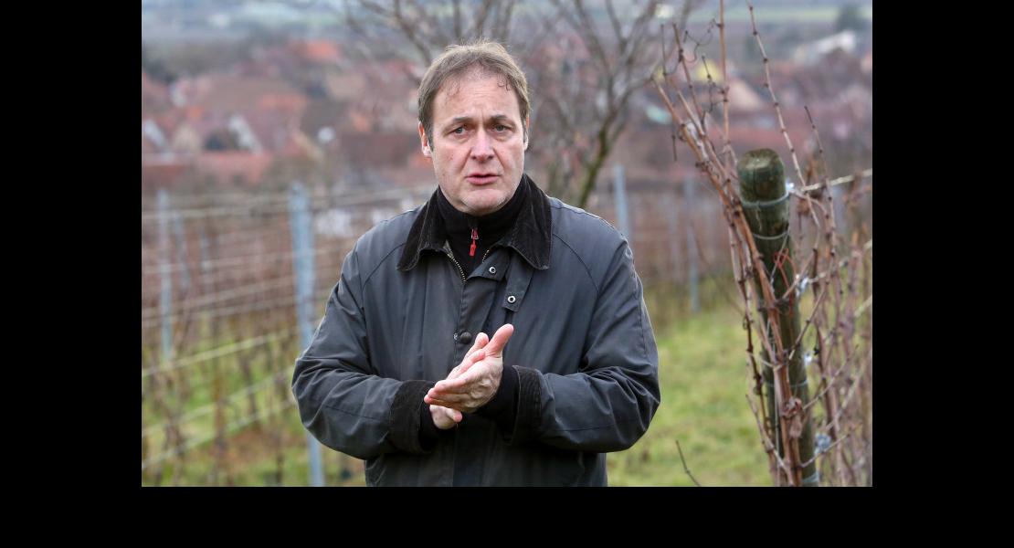 Vignes vivantes - Canet Alain_3.jpg