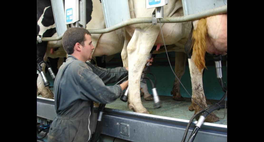 Emploi_Apprentissage