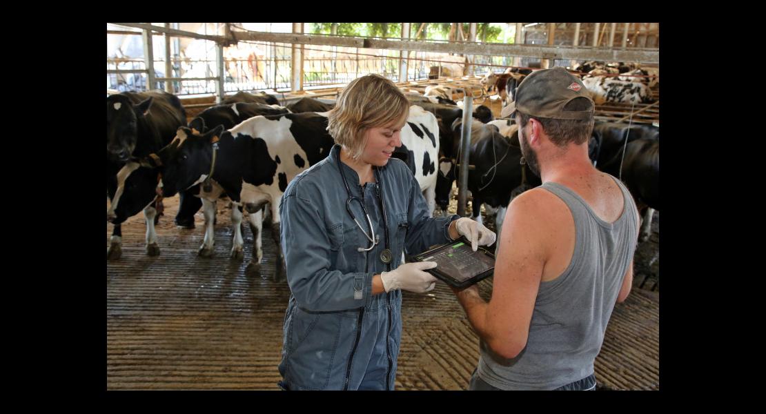 Lutz Catherine - Vétérinaire - 02.jpg