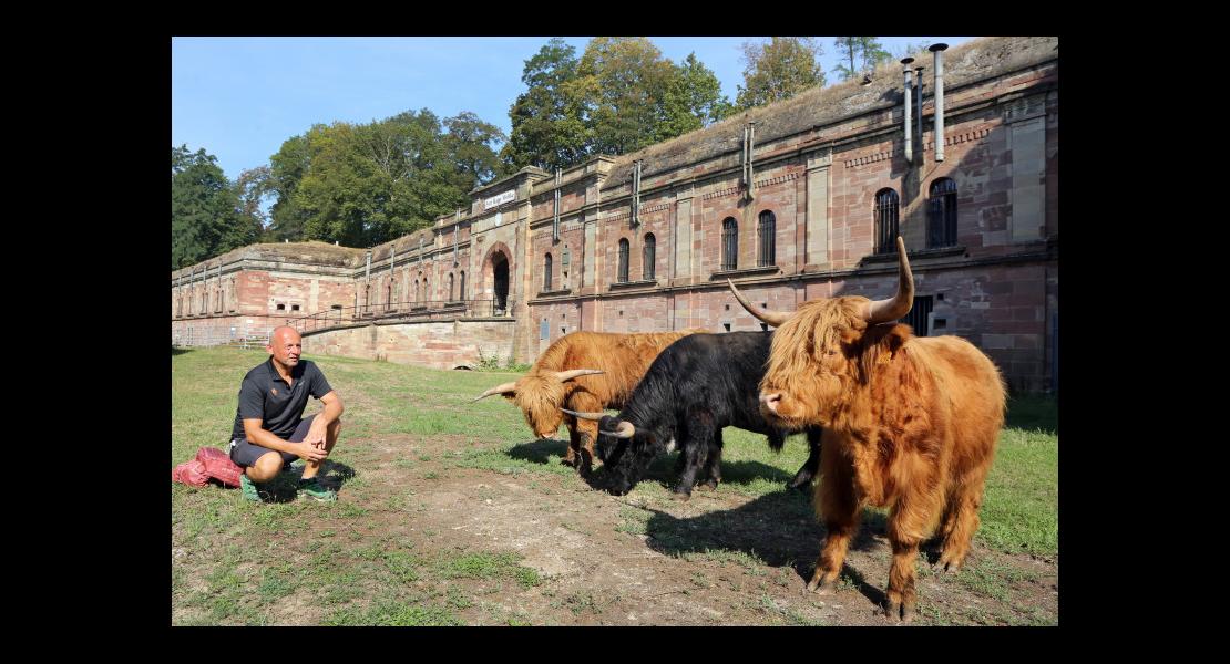 Fort Rapp - Highlands - 09.jpg