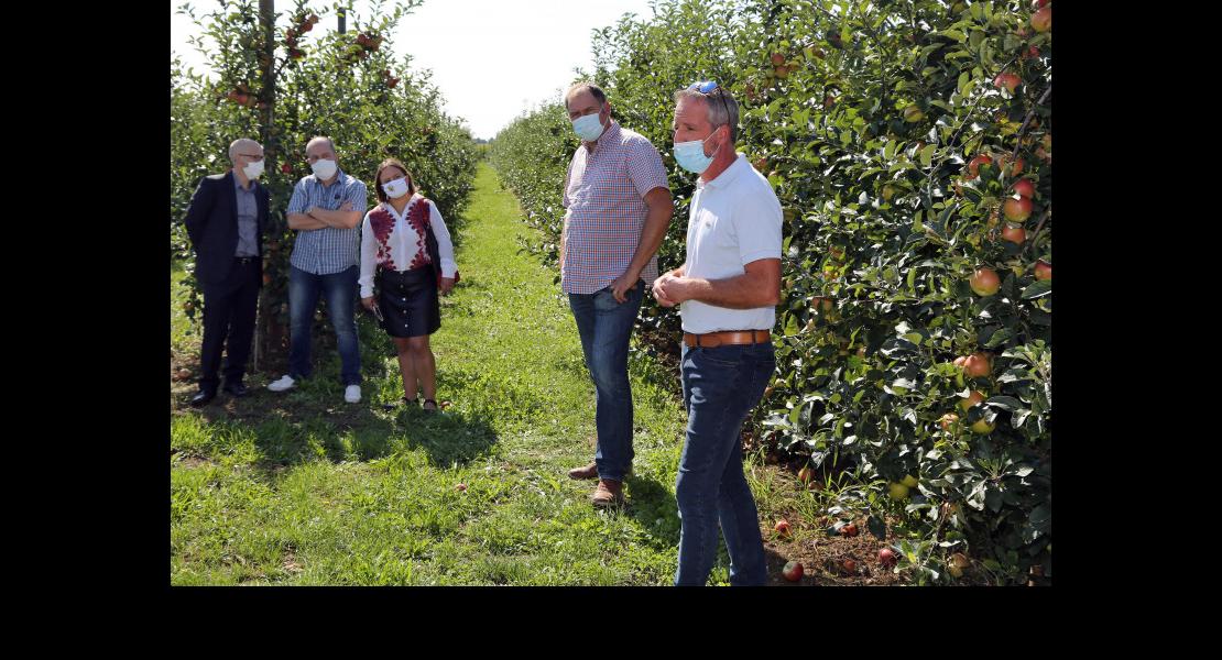 Lancement pomme - 04.jpg